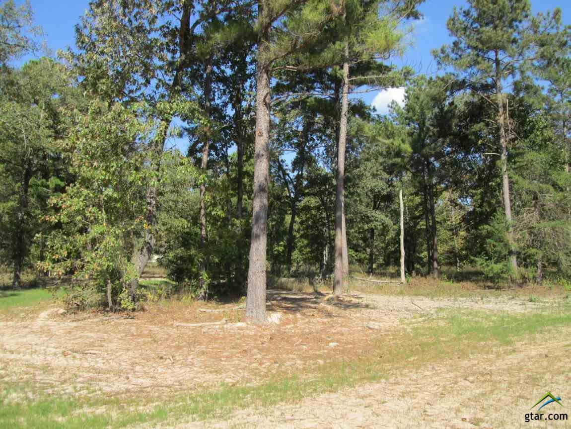 Lot 24 Deer Haven Dr - Photo 1