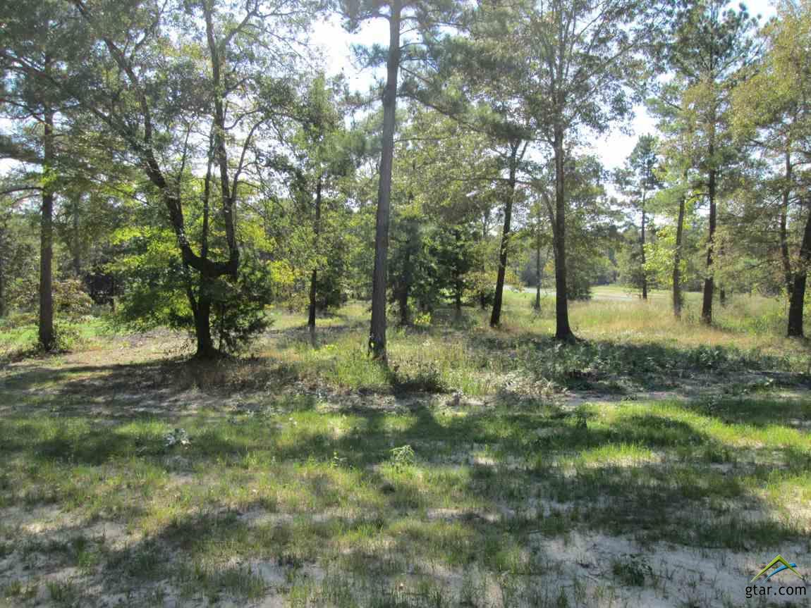 Lot 29 Willow Creek Ranch Rd - Photo 1