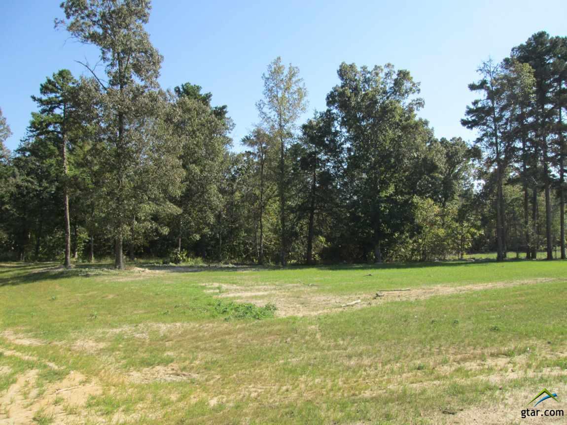 Lot 31 Willow Creek Ranch Rd - Photo 1
