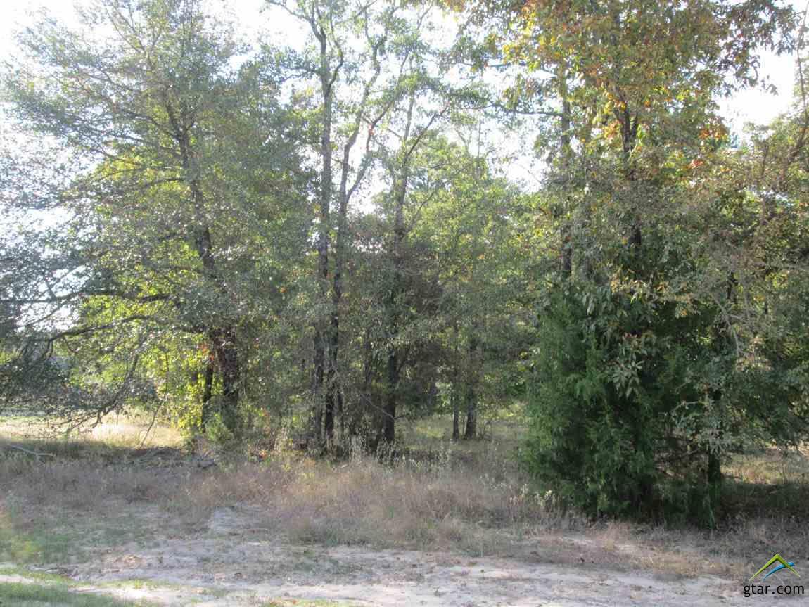 Lot 39 Willow Creek Ranch Rd - Photo 1