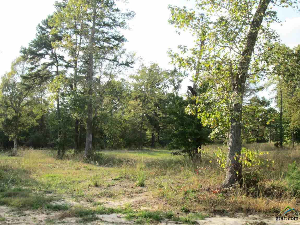 Lot 44 Willow Creek Ranch Rd - Photo 1