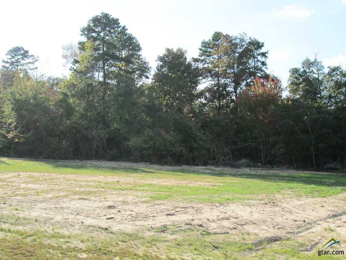 Lot 45 Willow Creek Ranch Rd - Photo 1