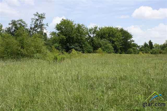 799 Walnut - Photo 1