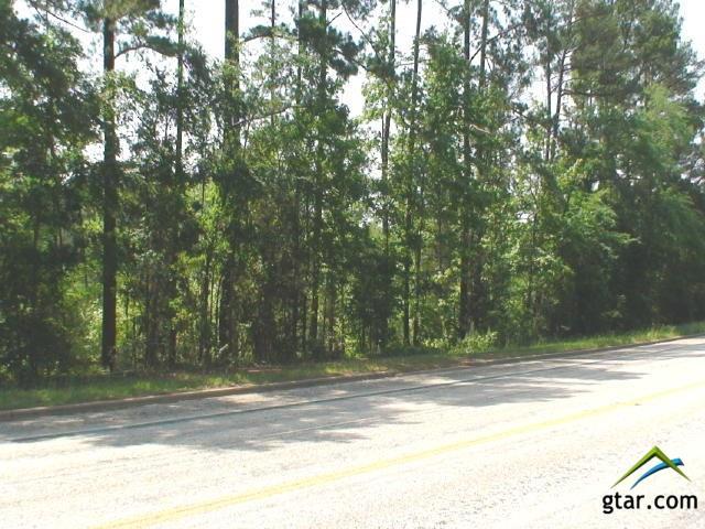 0.75 Ac. Us Hwy 84 - Photo 1