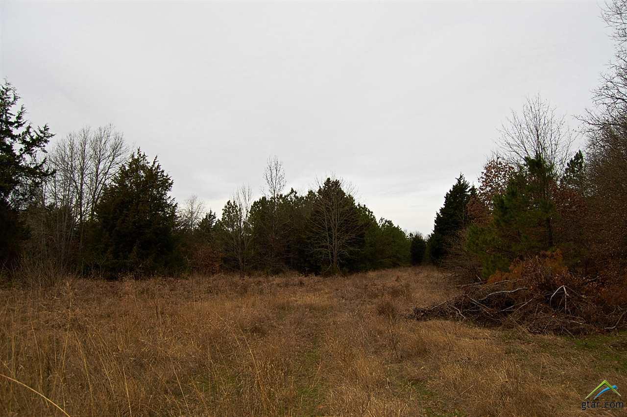 TBD Cr 1342 (Lot #9) - Photo 1