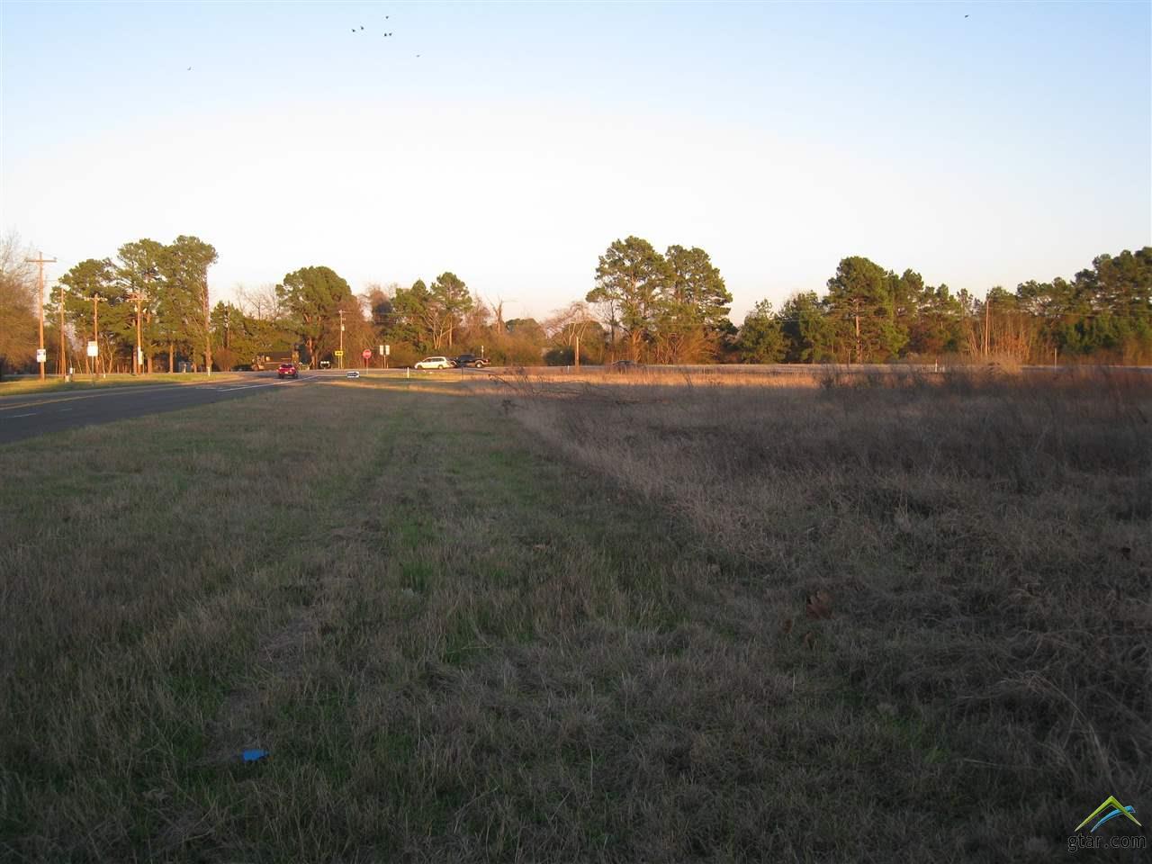 0 State Hwy. 155 S - Photo 1