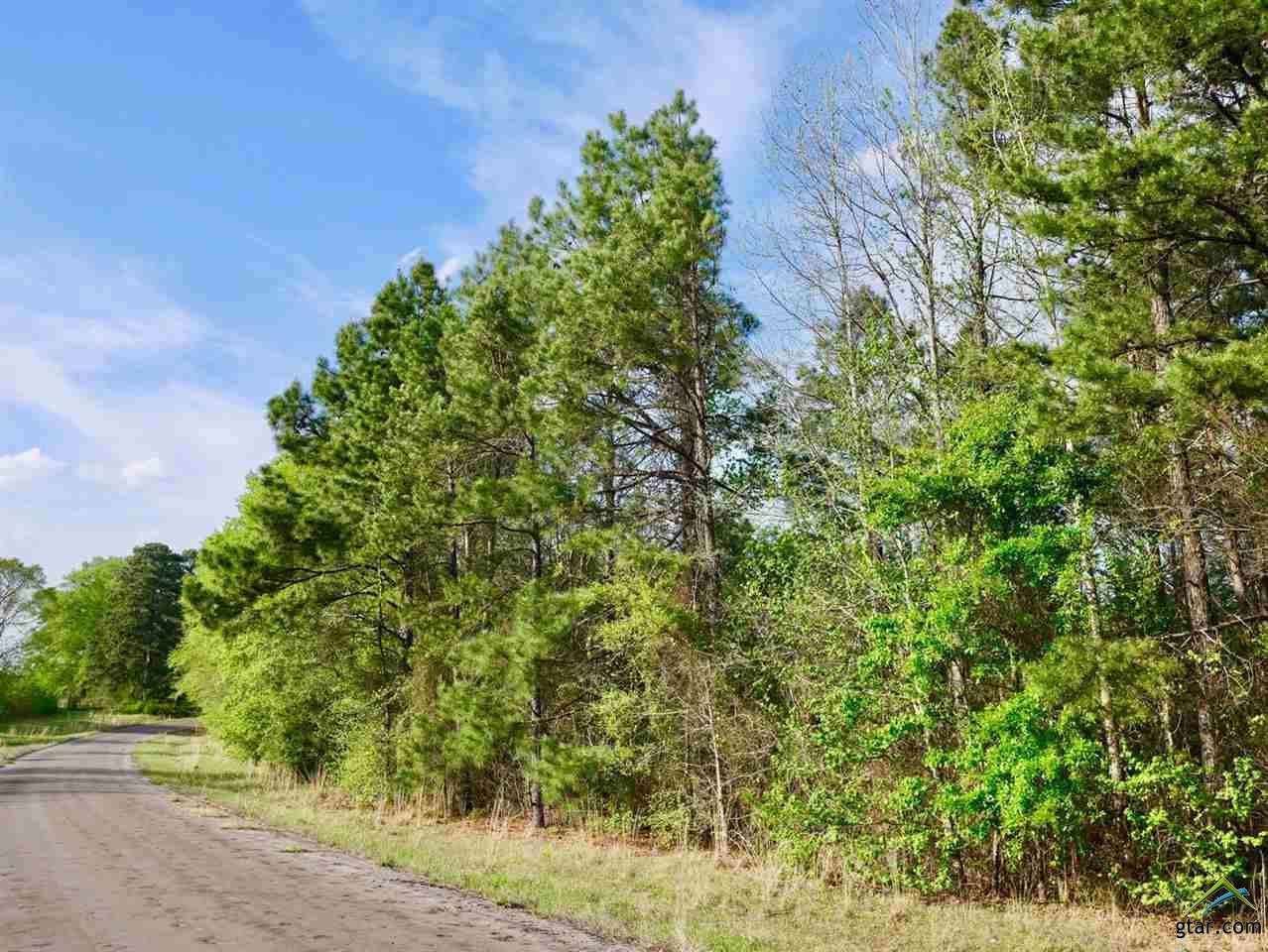 TR #2 TBD Cr 245 - Photo 1