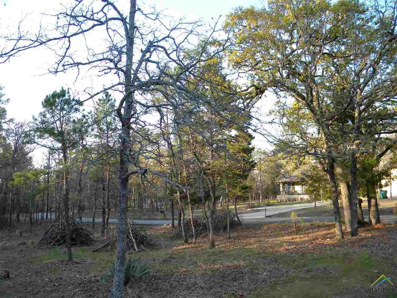 Lot 210 Section 8 Magnolia Lane - Photo 1