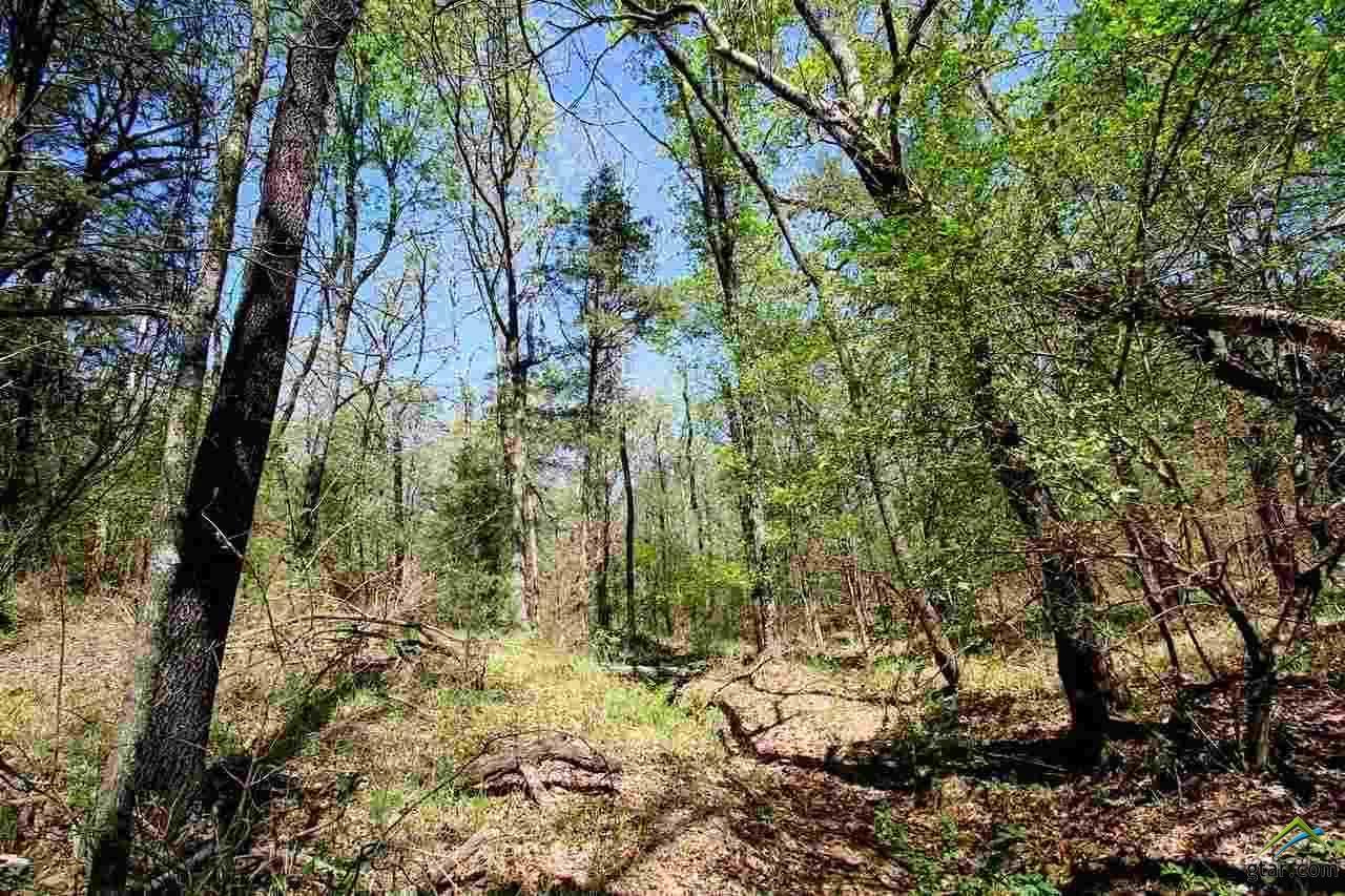 Tract 4 Cr 1307 - Photo 1