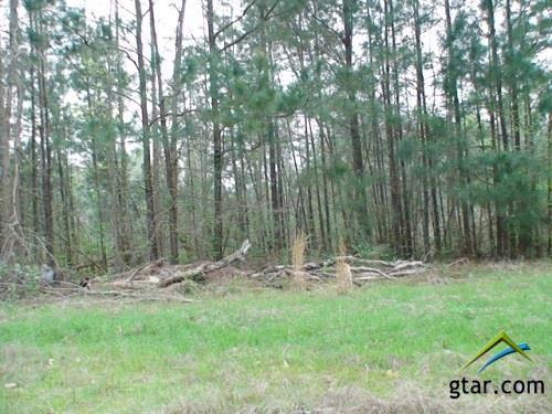 TBD Cr 2317 - Photo 1