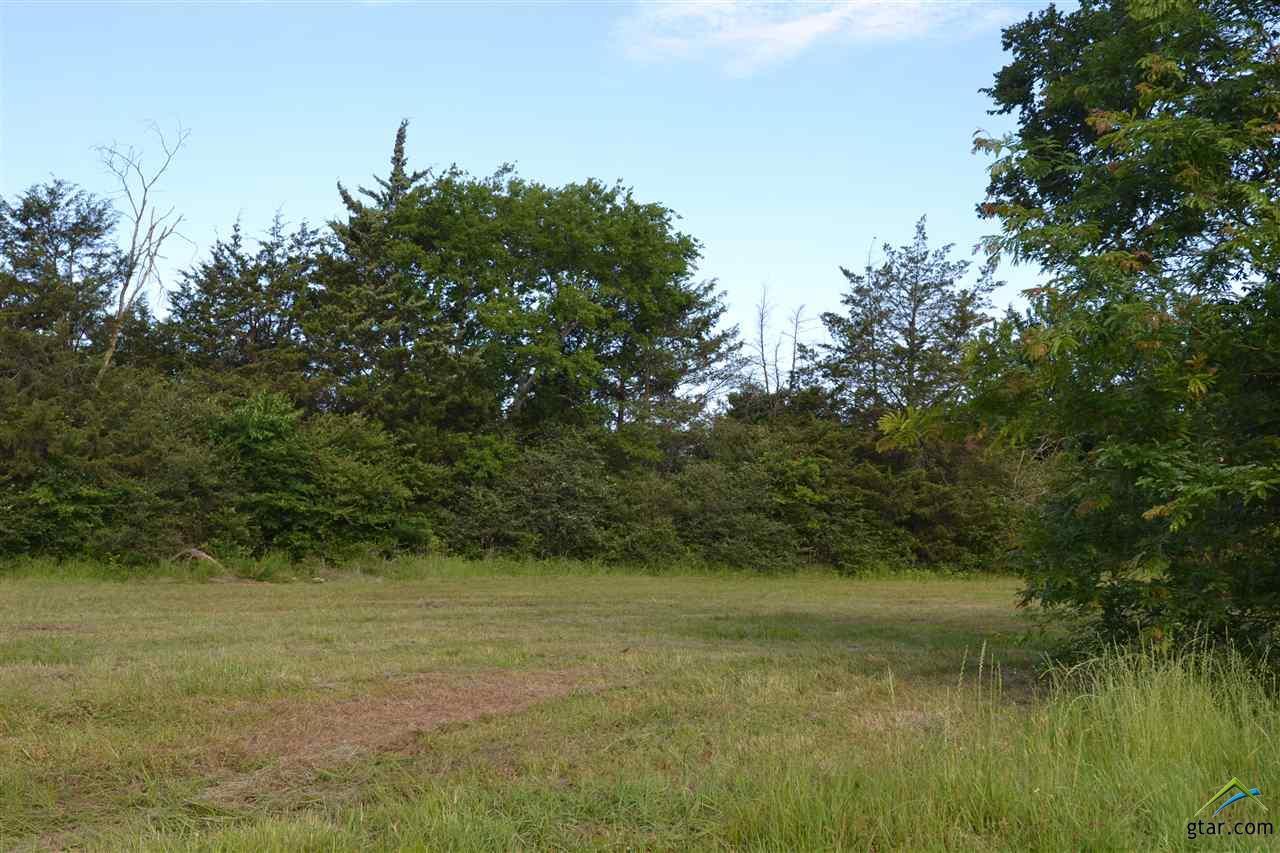 Lot 5 Oakwood Lane - Photo 1