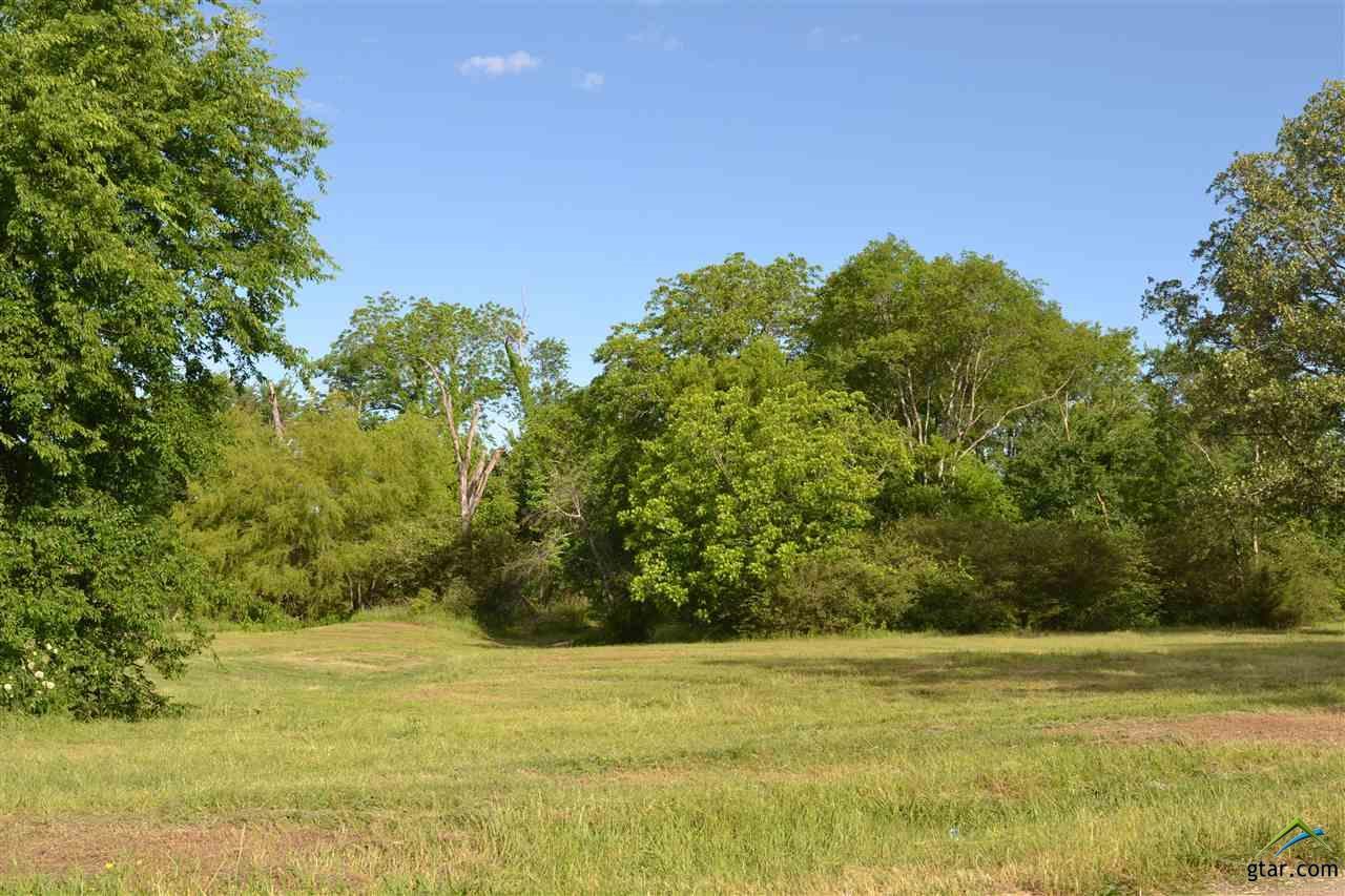 Lot 28 Elmwood Dr - Photo 1