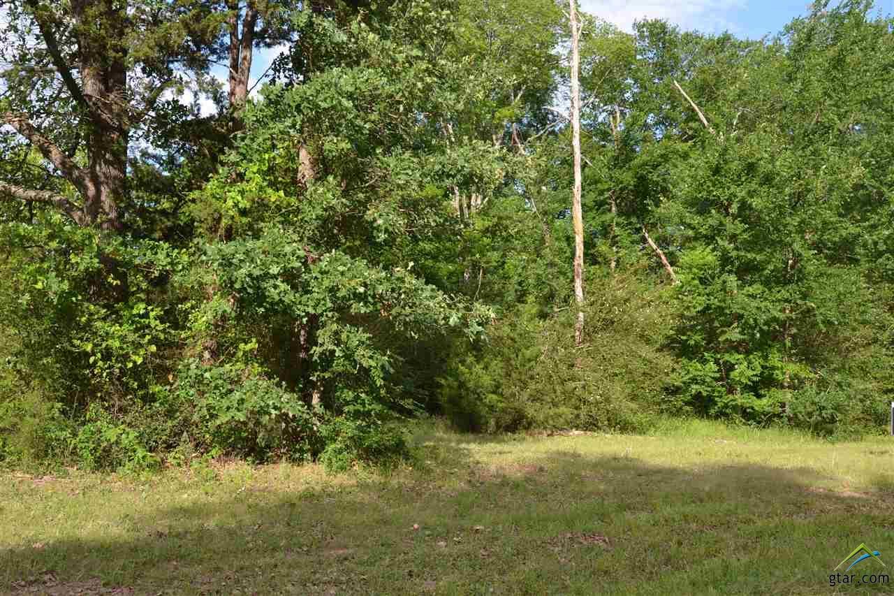 Lot 29 Elmwood Dr - Photo 1