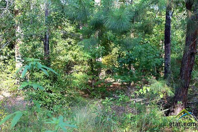 TBD Lot 25 E Lakeshore Dr - Photo 1