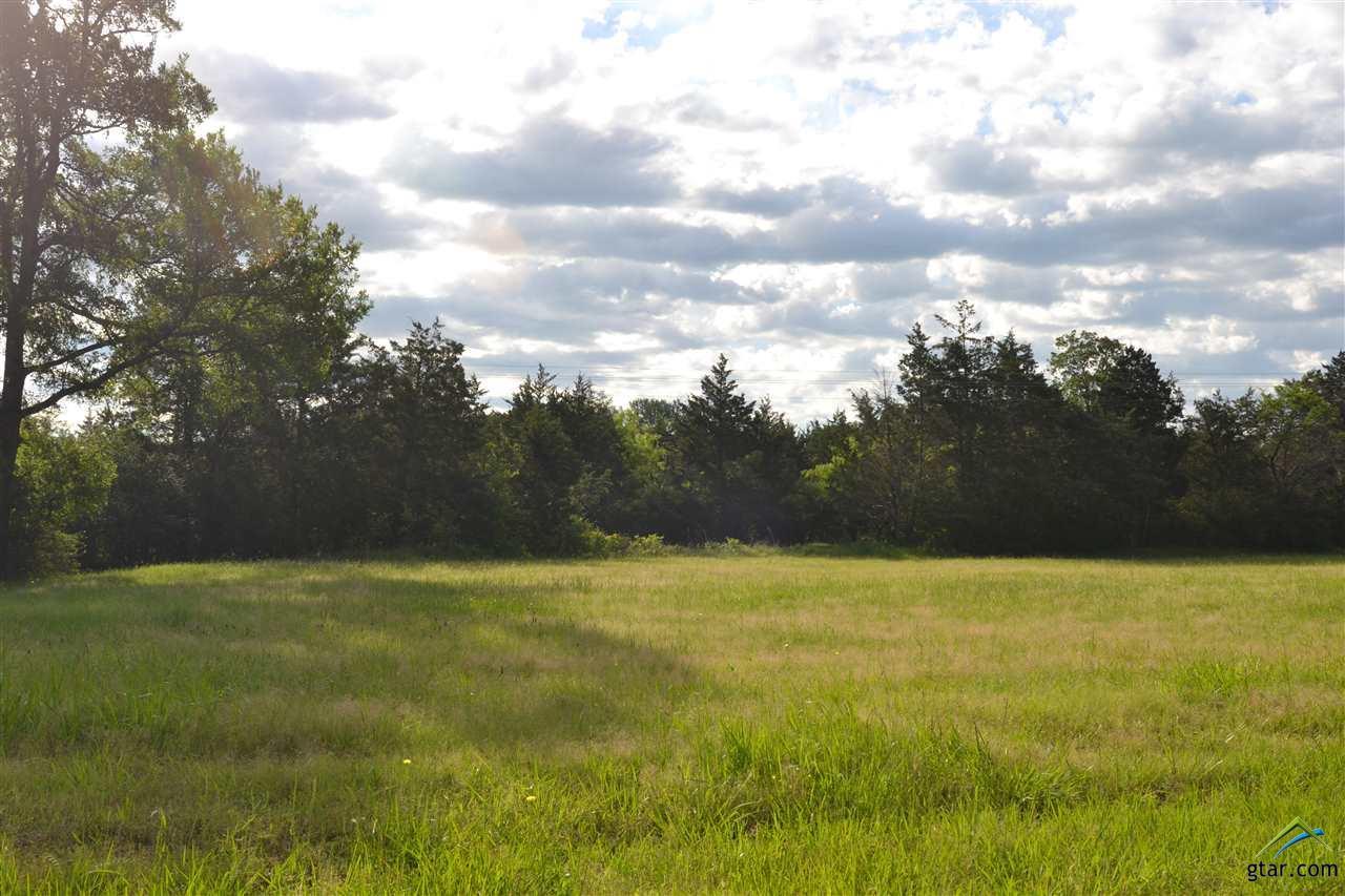 Lot 41 Elmwood Dr - Photo 1