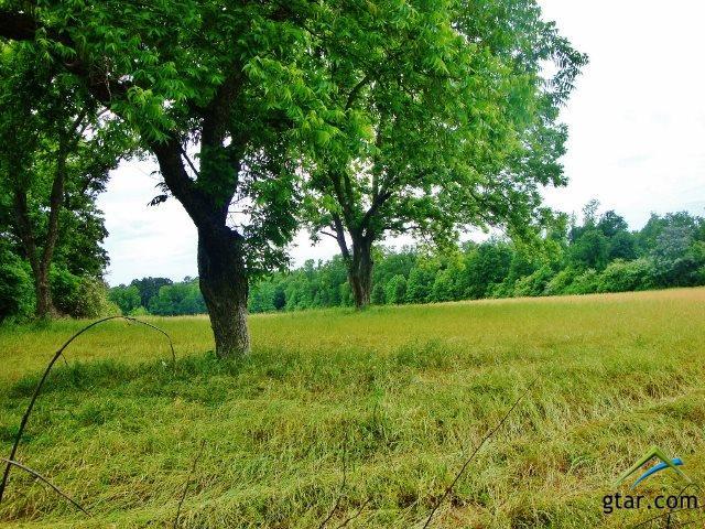 TBD Rusk - Photo 1