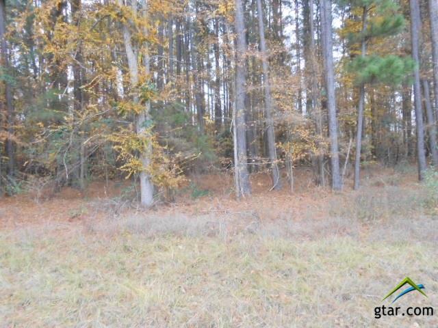 Lot 318 Cardinal Lane - Photo 1