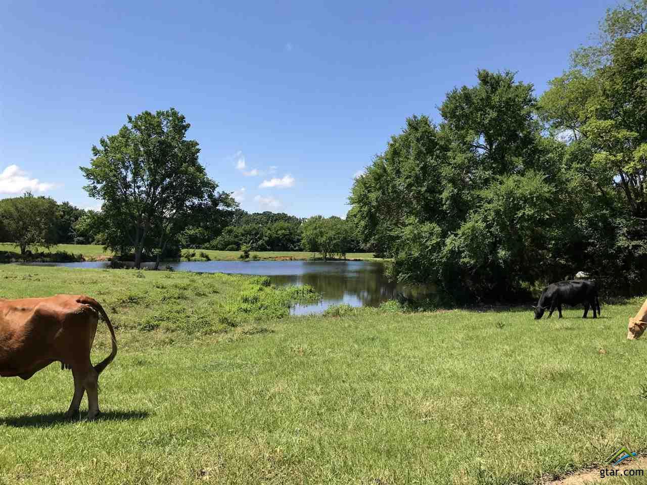 872 Fm 2948 - Photo 1