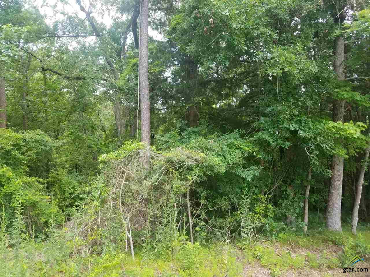 0 Cove Park Dr. - Photo 1