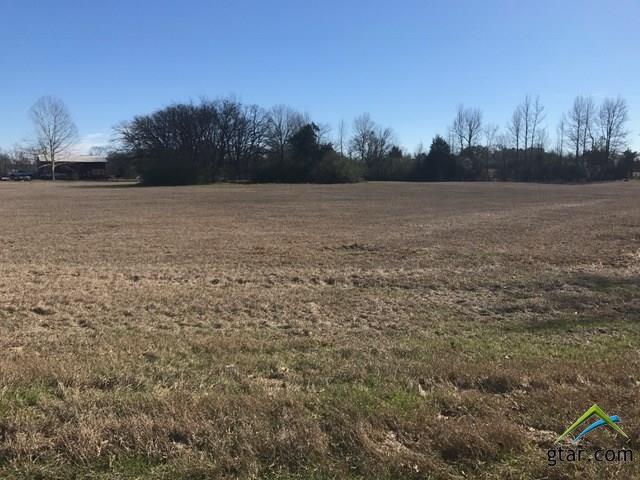 0 Hwy 11 And Loop 179 - Photo 1