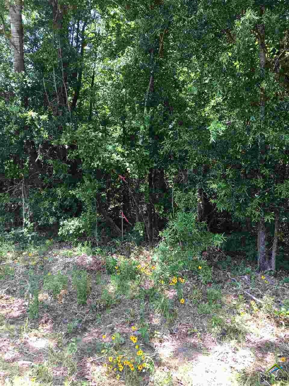 Fm 2064 N - Photo 1
