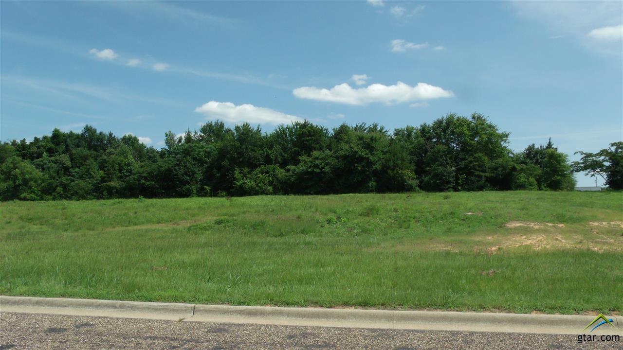Lot 3R-1 W 19th Street - Photo 1
