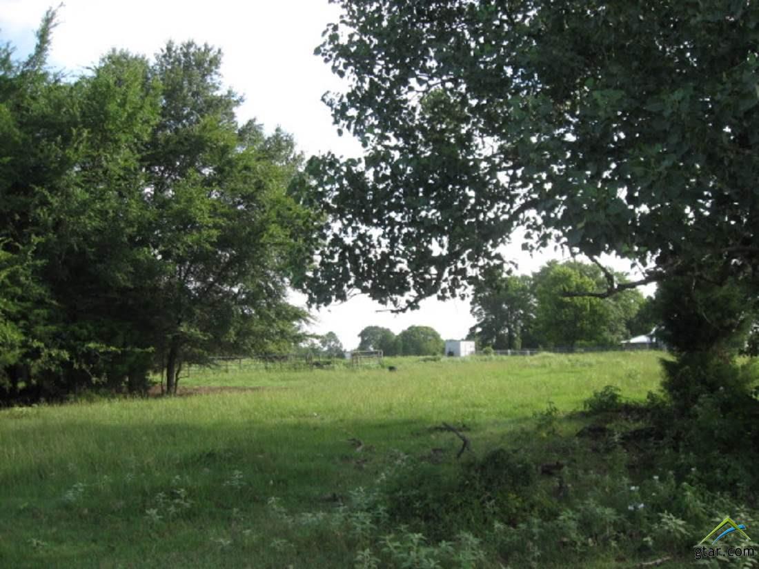 TBD Us Hwy 80 W - Photo 1