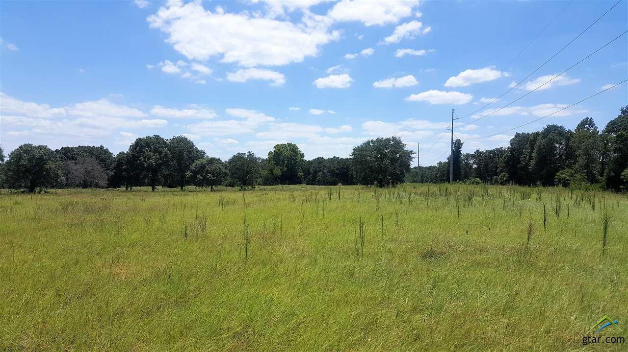 0 Vz Cr 4709 Tract B - Photo 1
