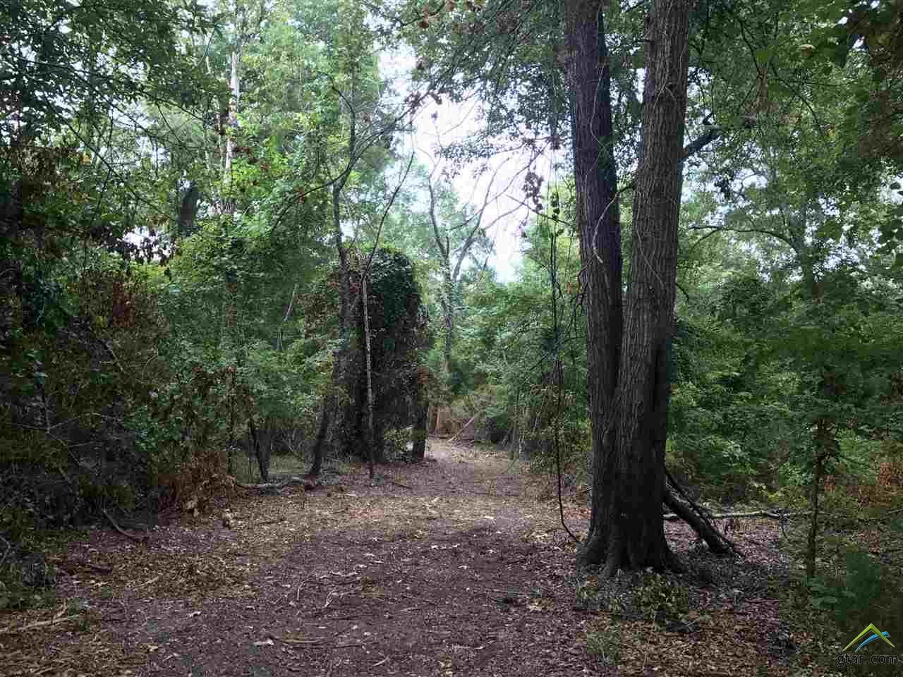 000 County Road 1174 - Photo 1