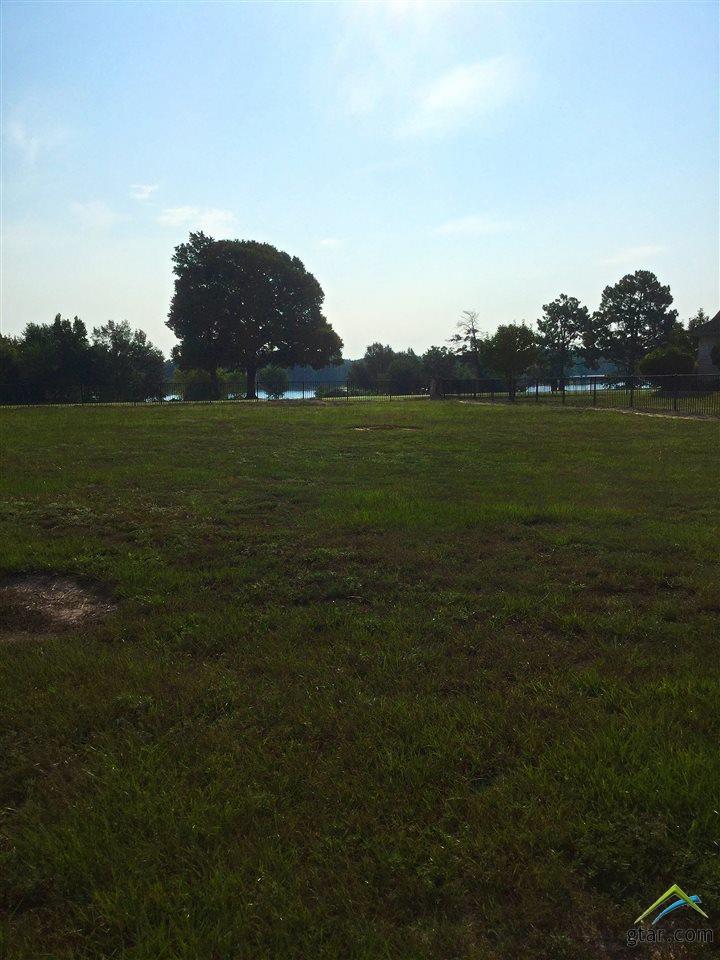 TBD Links - Photo 1