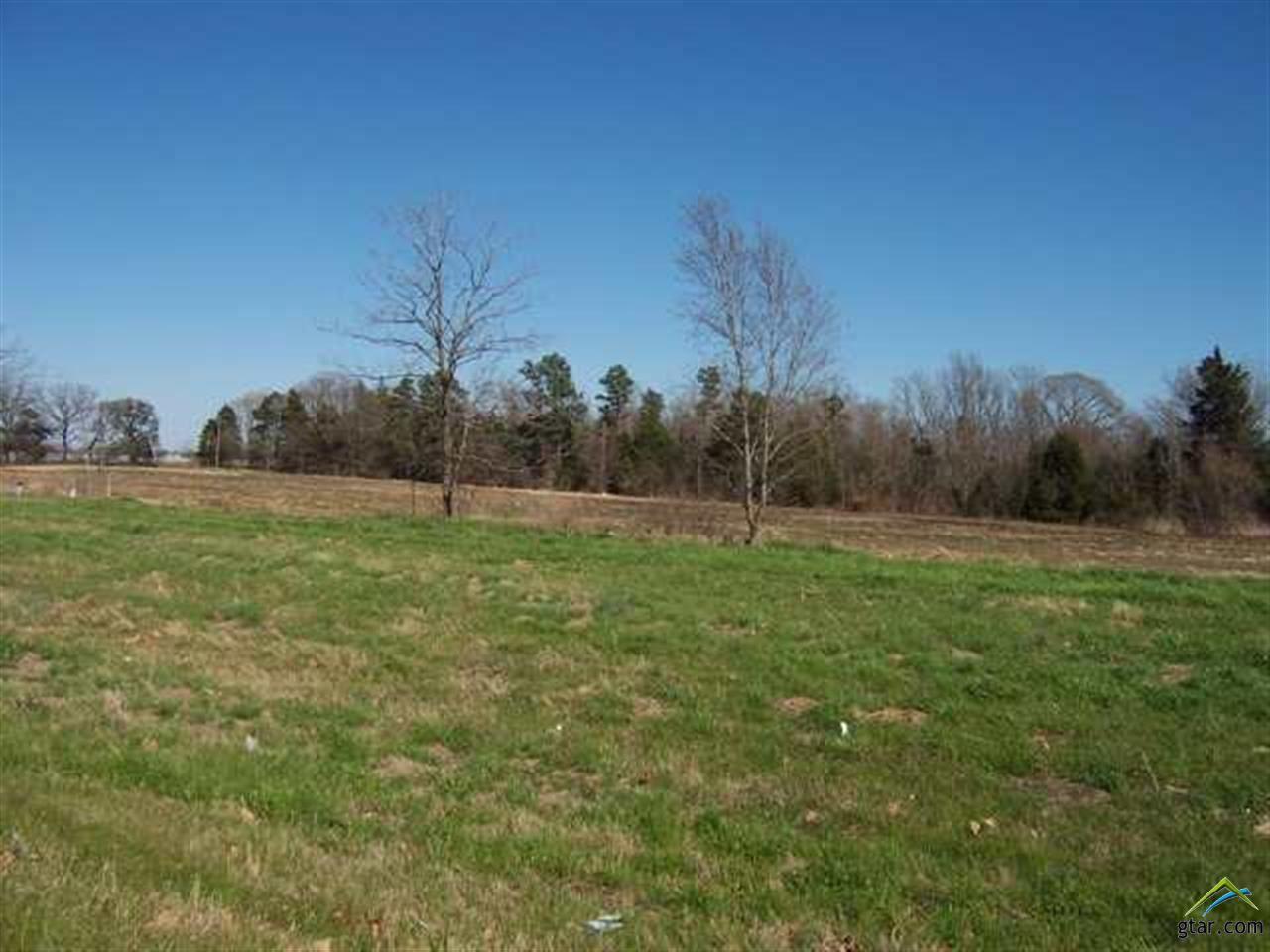 0 Hwy 271 - Photo 1