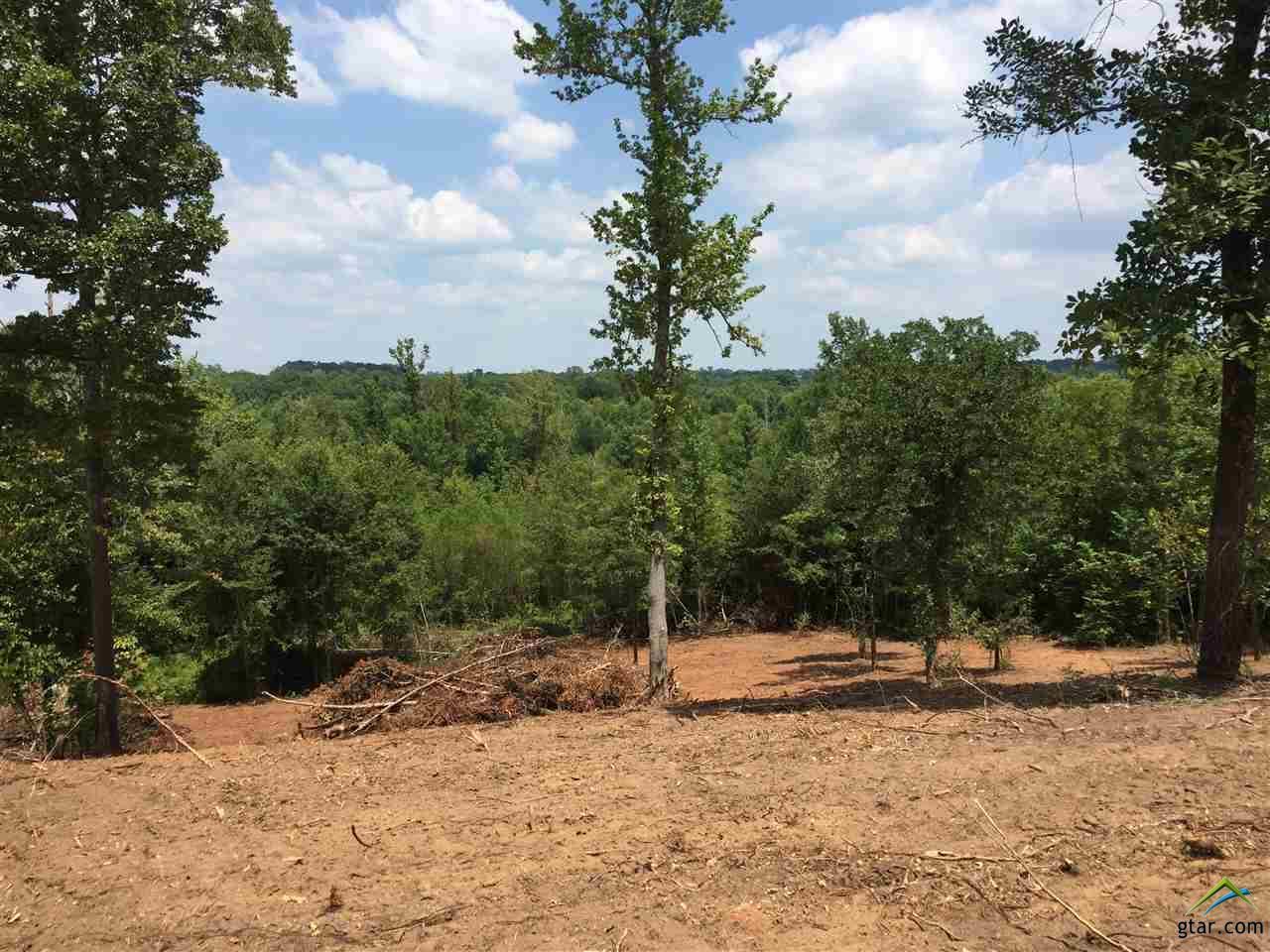 TBD County Road 113 - Photo 1