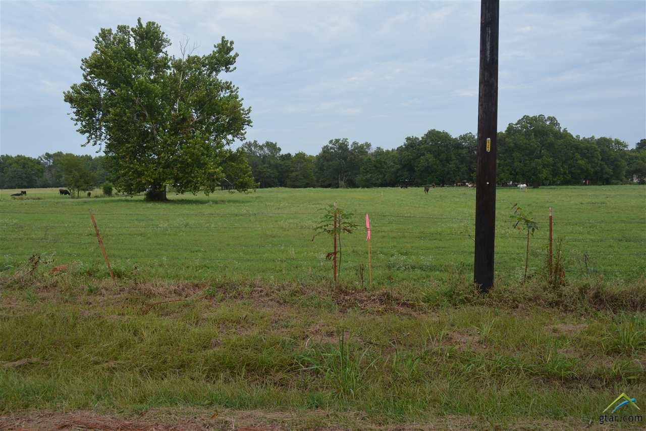 0000 Cr 2950 (Lot 1) - Photo 1