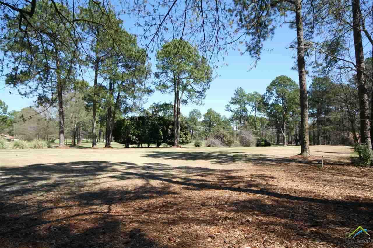 Sec 4 Lot 273 Holly Trail East - Photo 1