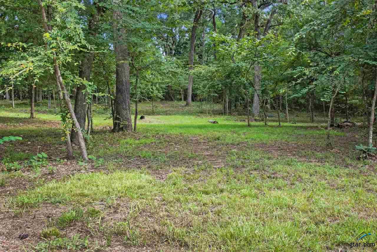 LOTS 18 & 19 Greenwood Trail And Canyon Drive - Photo 1