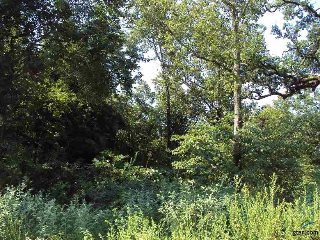 00 Cumberland Circle - Photo 1