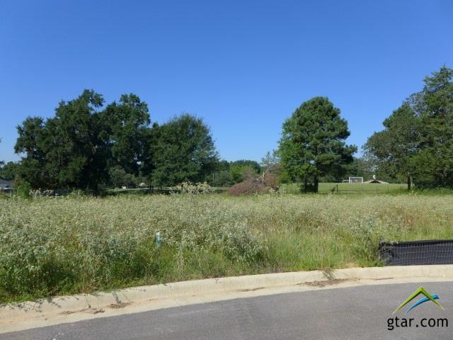 2517 Maggie Lane - Photo 1