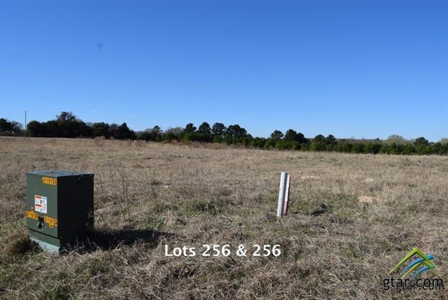 Lot 255 Waters Edge Drive - Photo 1