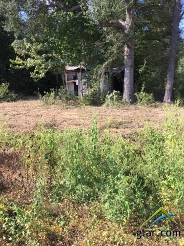 tbd Hwy 11 - Photo 1