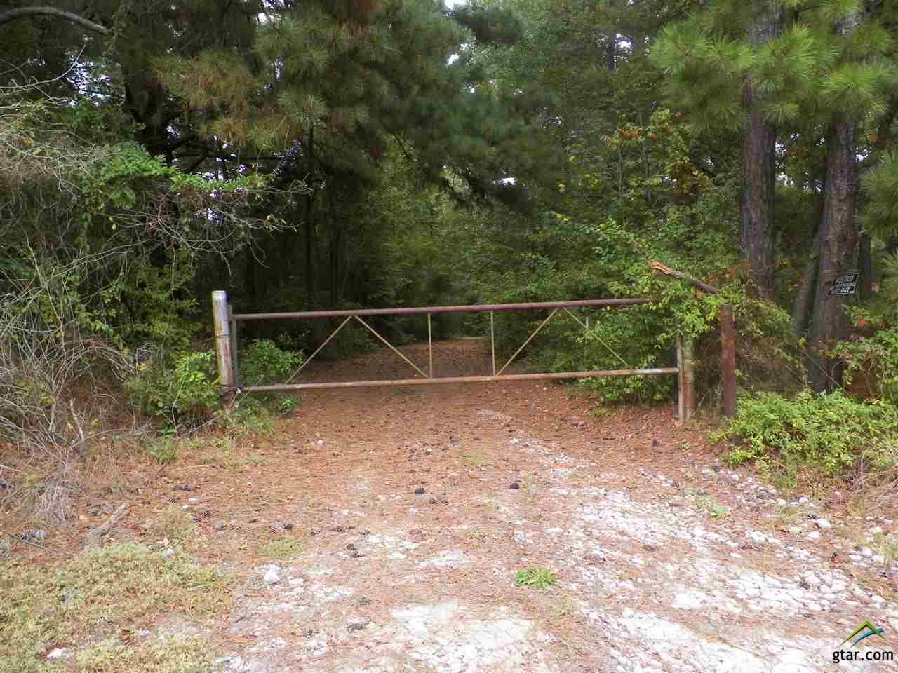 23021 Hwy 64 - Photo 1