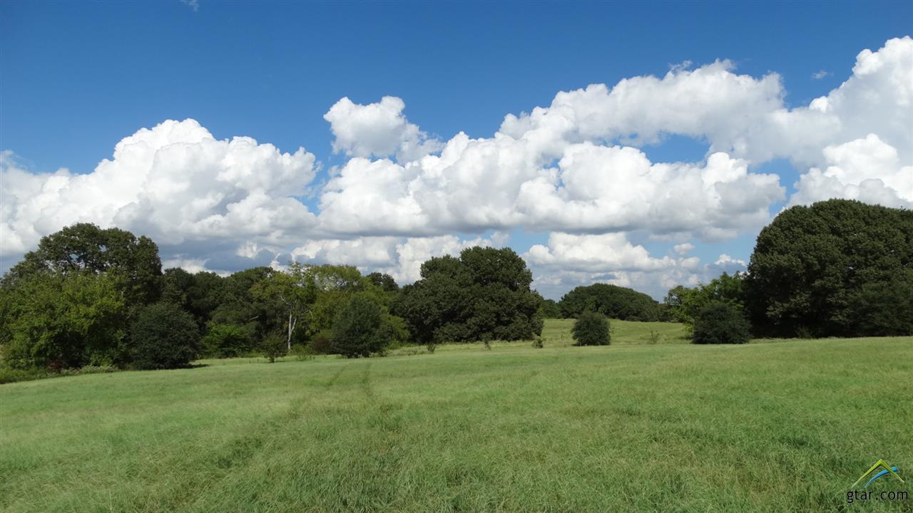 18617 Cr 139 - Photo 1