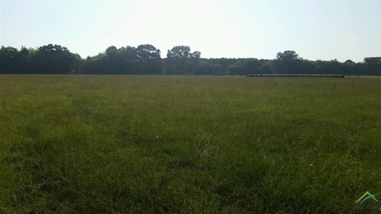 Lot #4 Cr 3326 - Photo 1