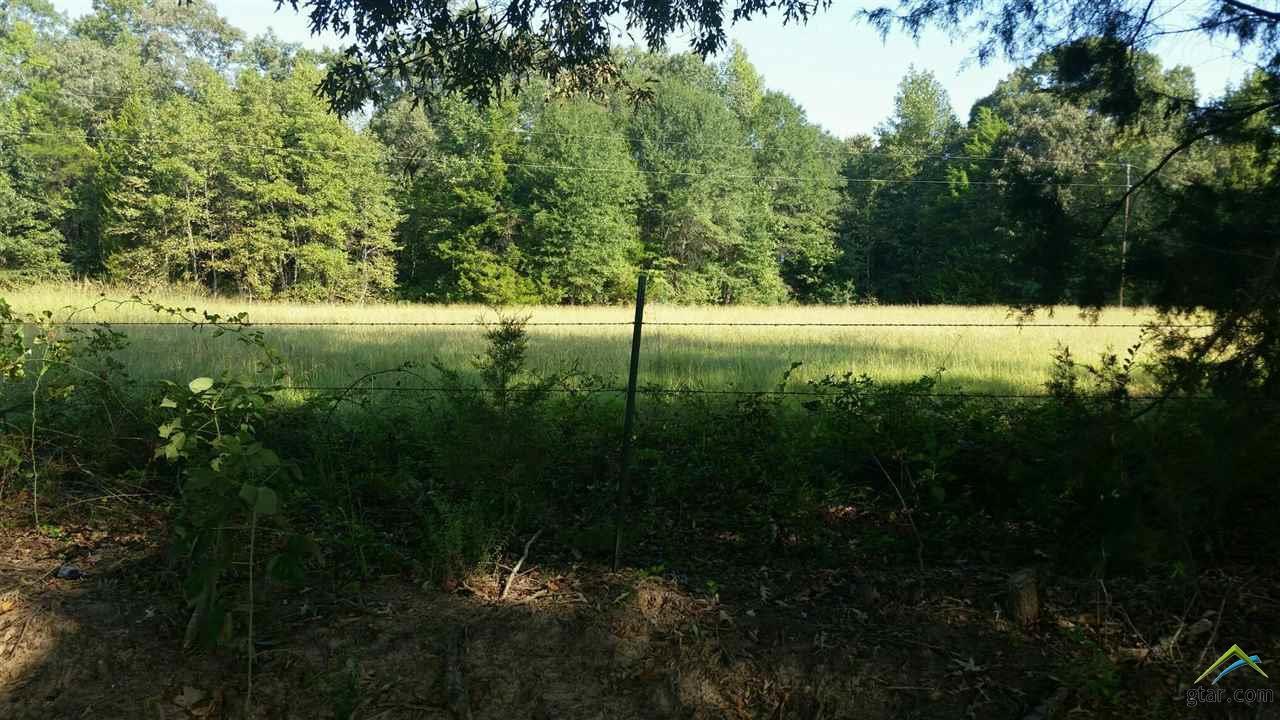 Lot #8 Cr 3326 - Photo 1