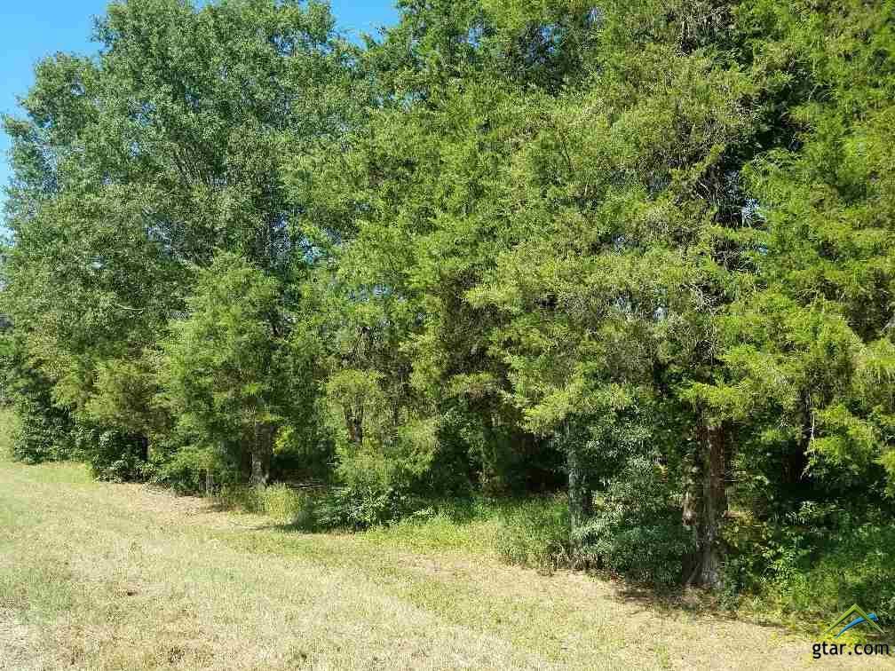 Fm 3042 - Photo 1
