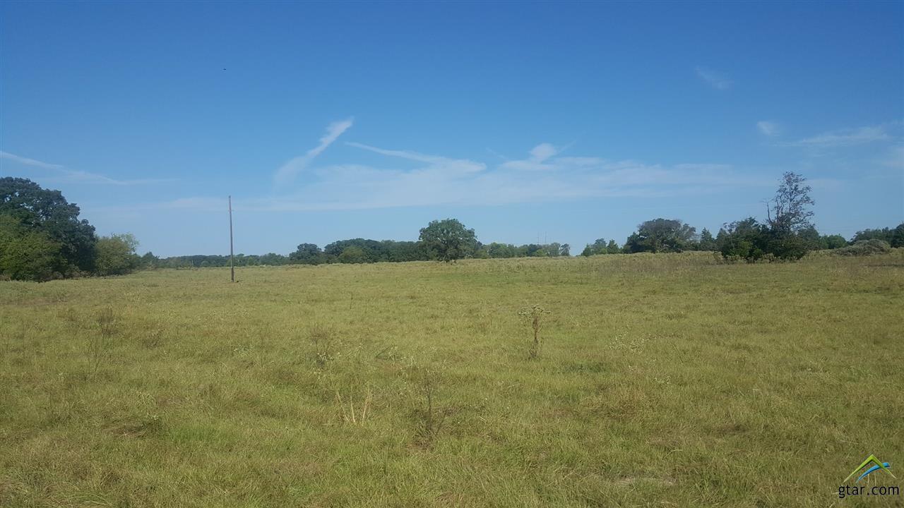 000 Hwy 175 Tract A - Photo 1