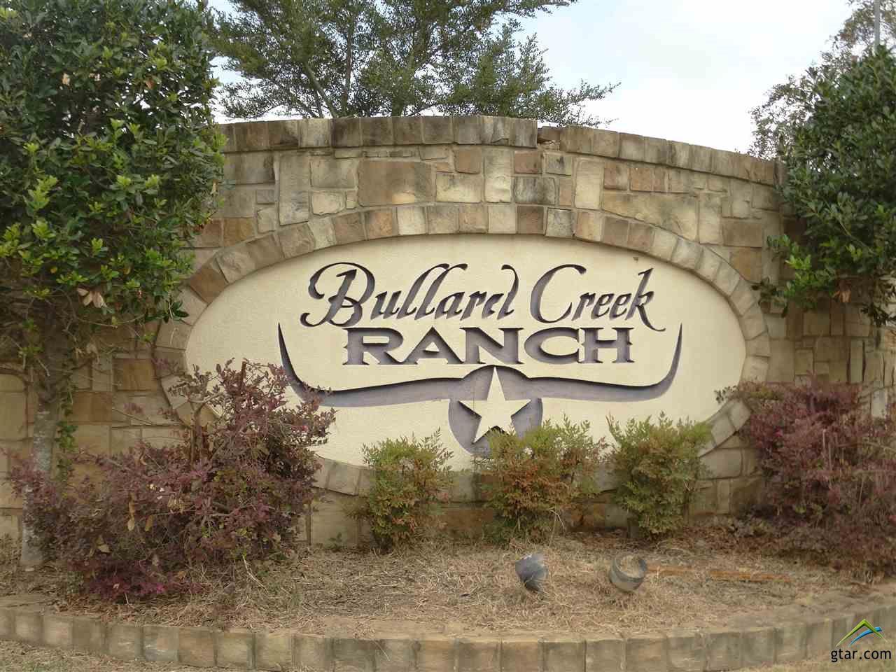 1231 Hitching Post Circle - Photo 1