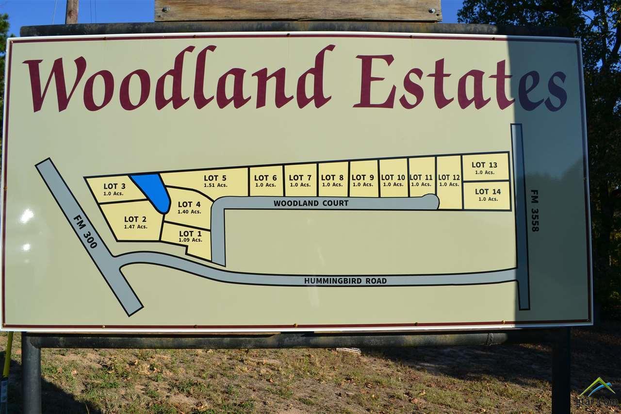 Lot 7 Woodland Court - Photo 1
