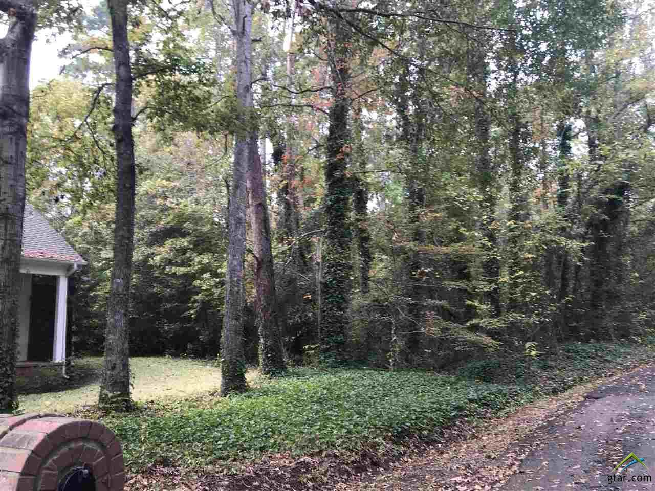 Lot 7 Treasure Cove - Photo 1