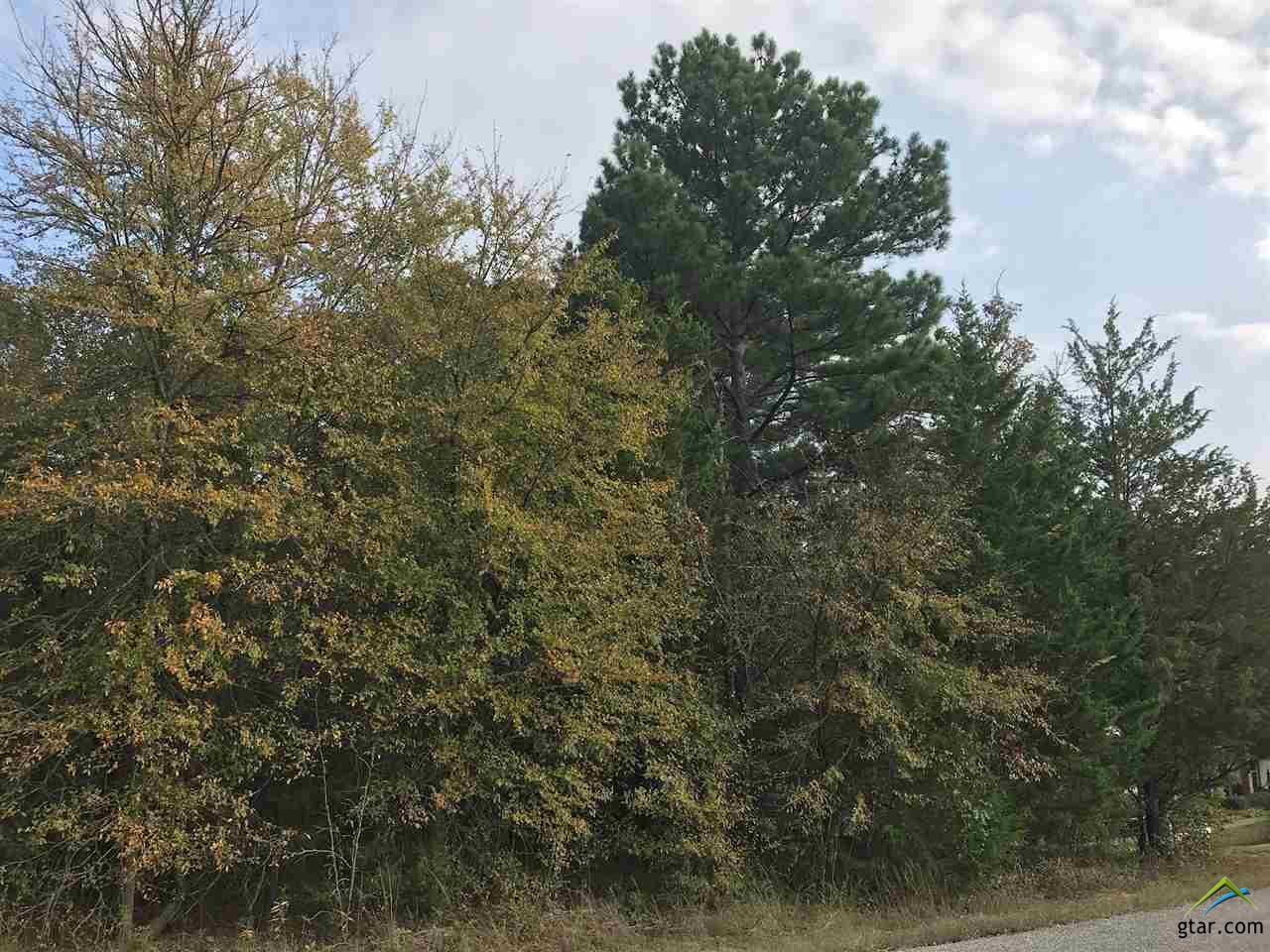 Lot 66 Cr 2317 - Photo 1