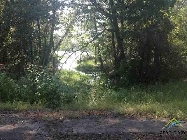 0000 Lot 5 & Lot 6 Cr 3420 - Photo 1